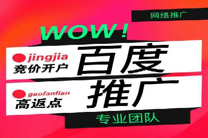 SEM推广代运营公司成功案例解析